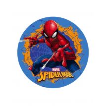 Disque en azyme Spiderman bleu 20 cm