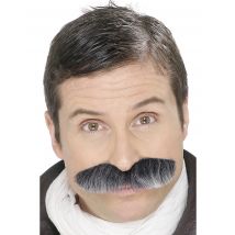 Moustache Grisonnante Adulte - Thème: Couleurs - Couleur: Argenté / gris - Taille: Taille Unique