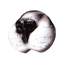 Nez Chat Adulte - Thème: Animaux Et Petites Bêtes - Couleur: Coloré - Taille: Taille Unique