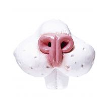 Nez Lapin Adulte - Thème: Animaux Et Petites Bêtes - Couleur: Blanc - Taille: Taille Unique