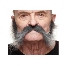 Moustache Avec Pattes Grisonnante Homme - Thème: Carnaval - Couleur: Argenté / gris - Taille: Taille Unique