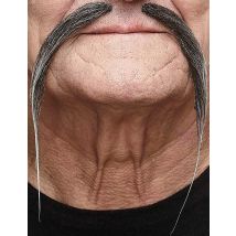 Moustache Chinoise Grise Adulte - Thème: Carnaval - Couleur: Argenté / gris - Taille: Taille Unique