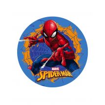 Disque En Azyme Spiderman Bleu 20 Cm - Thème: Super-héros - Couleur: Multicolore - Taille: Taille Unique