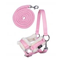 Halfterset für Steckenpferd Hobby Horse