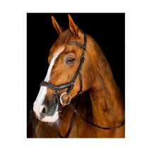 Micklem Competition Bridle