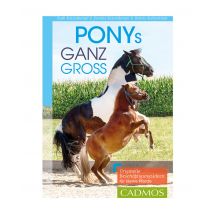 Buch Ponys ganz groß