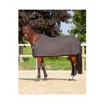 Abschwitzdecke Ecoline