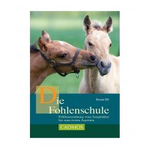 Buch Die Fohlenschule