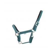 Halfter Dual Plus Nickel