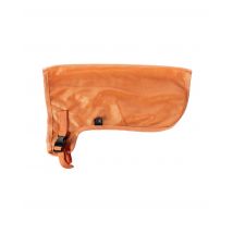 Steckenpferd-Fliegendecke Hobby Horse