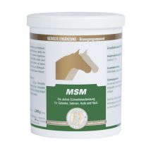 MSM