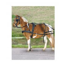 Einspänner-Geschirr Pony