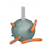 Karottenball mistel