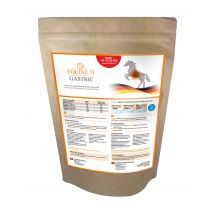 Ergänzungsfutter Gastric Pellet Nachfüllpackung
