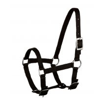 Fohlenhalfter silberfarbene Beschläge