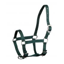 Fohlenhalfter silberfarbene Beschläge