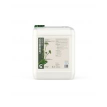 Hautpflege Lebermoos