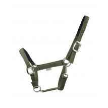 Halfter Dual Plus Nickel