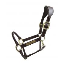 Lederhalfter Anatomisch