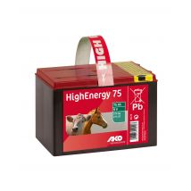 Weidezaunbatterie Energy