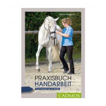 Buch Praxisbuch Handarbeit