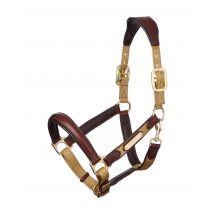 Lederhalfter Capella