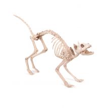 Dekoration Katzenskelett Halloween