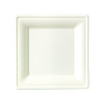 10 quadratische Teller aus Zuckerrohr 26 x 26 cm
