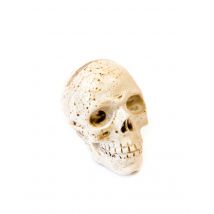 Halloween-Totenschädel mit Flecken weiss-braun 4,5x5,5cm - Thema: Skelette + Sensenmänner - Weiß - Größe Einheitsgröße