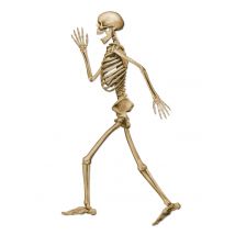 Laufendes Skelett Halloween-Deko Pappfigur beige 94cm - Thema: Skelette + Sensenmänner - Weiß - Größe Einheitsgröße