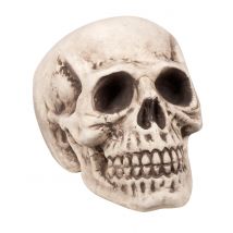 Schauriger Totenkopf Halloween-Deko beige 23 x 22 x 31 cm - Thema: Skelette + Sensenmänner - Beige - Größe Einheitsgröße