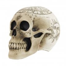 Totenschädel Pentagramm Halloween-Dekoration weiß 18 x 12 x 15 - Thema: Skelette + Sensenmänner - Weiß