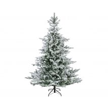 Everlands Grandis fir Snowy 240 cm