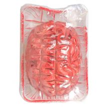 Blutiges Gehirn Halloween Party-Deko rot 8x15x9cm - Thema: Halloween - Rot/Rotbraun