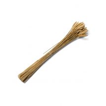 Weizen-Ähren Partydeko 25 Stück braun 60cm - Thema: Hochzeit - Gold