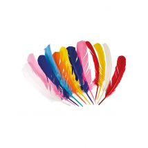 Indianer Federn Party-Deko 12 Stück bunt 30cm - Thema: Fasching und Karneval - Bunt