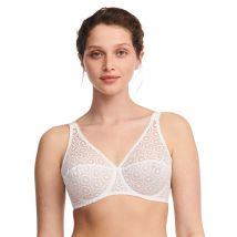 CHANTELLE Sujetador envolvente Fête. Color