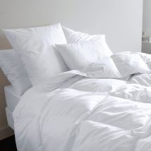 Dodo Guanciale Sintetico Suprelle Allerban Bianco Taglie 2 x 60 x 60 cm