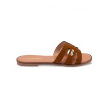 Mules de ante Hamiga