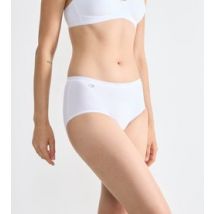 Lote de 3 braguitas slip midi Basic