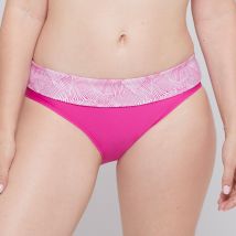 Bikinislip Palmaria