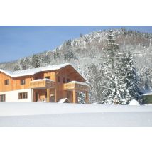 Comfy chalet with a dishwasher, in the High Vosges