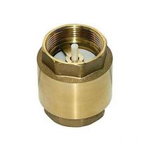 1 1/4'' Messing-Rückschlagventil. Verhindert, dass Wasser zurück in die Bewässerungsrohre fließt.