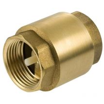 1/2 Inch bsp Brass Check Non-Return Valve Female With Plastic Insert