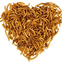 Lyra Pet - 5 x 1 kg Mehlwürmer für Zier- und Teichfische