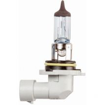 1 Ampoule 12v 51w HB4 P22d