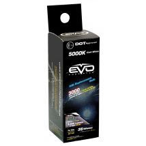 1 Ampoule D4S 5000K 35W Blanc Hivernal -Cold White- - EvoFormance