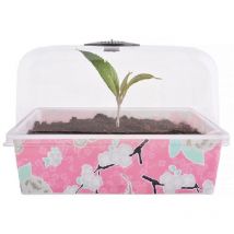 3-er Set Blumentopf 22x17x15 cm Jet-line Anzucht Topf