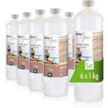 6 x 1 kg bayzid spa pH Heber flüssig