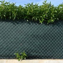 Iberogarden - 1 x 25 m) malla de ocultacion verde oscuro 120 gramos
